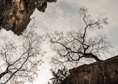 Blick nach oben Schöne Landschaft Blick auf Bergfelsen Klippe und Tree Branches vor Himmelshintergrund am Khao Nang Phanthurat Forest Park. Natürlicher Hintergrund, Raum für Text, Selektiver Fokus.