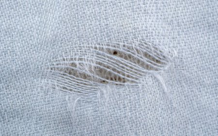 Photo for A torn part of the fabric where the threads are visible - Royalty Free Image