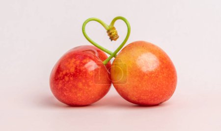 Photo for Two cherries joined by heart shaped handles - Royalty Free Image