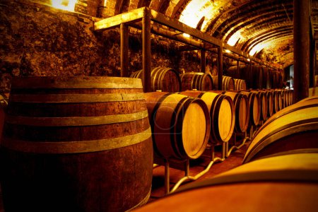 Téléchargez les photos : Salle de stockage de vin rustique avec barils en bois - en image libre de droit
