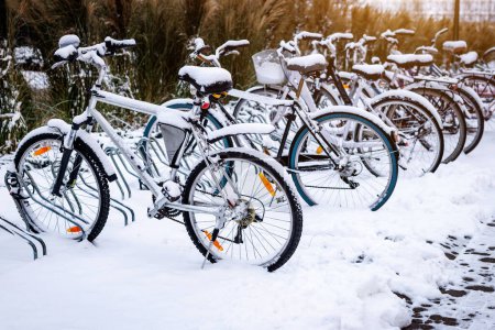 Photo for A row of snow-covered bicycles parked in a winter landscape. - Royalty Free Image