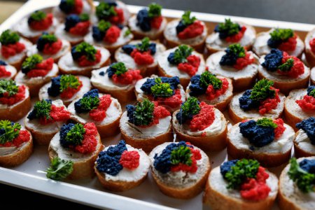 Photo for A tray of delicious hors d oeuvres with caviar and salmon on toasted bread. - Royalty Free Image