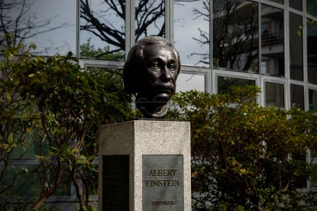 Foto de Busto de Albert Einstein en Berlín - Imagen libre de derechos