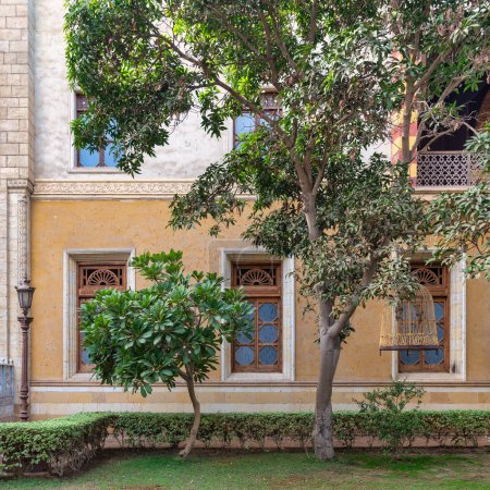 Un patio sereno con un árbol y un arbusto vibrantes, ventanas elegantemente detalladas y una pared de textura amarilla