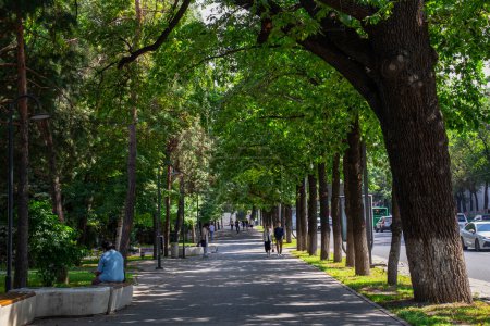 Photo for Almaty Kazakhstan 20 June 2022. Pedestrian Way at the Dostyk Avenu in the city center of Almaty. Green walking way - Royalty Free Image