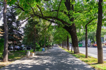 Téléchargez les photos : Almaty Kazakhstan 20 June 2022. Pedestrian Way at the Dostyk Avenu in the city center of Almaty. Green walking way - en image libre de droit