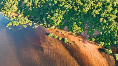 Foto de Vista aérea de la naturaleza de la selva amazónica en Amazonas Brasil. Bosque de manglares. Árboles de manglar. Bosque Amazónico naturaleza paisaje. Amazonas igapo vegetación sumergida. Bosque de llanura inundable en Amazonas Brasil. - Imagen libre de derechos