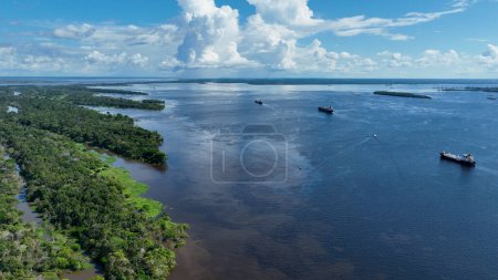 Foto de Río Amazonas en la selva amazónica. La selva tropical más grande del mundo. Manaus Brasil. Ecosistema amazónico. Naturaleza vida silvestre paisaje. Reducción de las emisiones del calentamiento global. Río Amazonas vida silvestre. - Imagen libre de derechos
