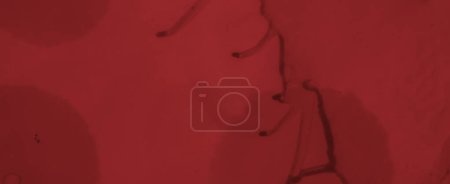 Photo for Grungy Blood Background. Red Fluid Wallpaper. Horror Spatter Black. Watercolour Valentine Texture. Blood Background. Abstract Ink Wallpaper. Halloween Spatter Black. Watercolor Blood Background. - Royalty Free Image