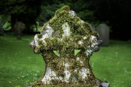 Foto de Antigua lápida celta cubierta de musgo en un cementerio inglés, Ilam Derbyshire.. - Imagen libre de derechos