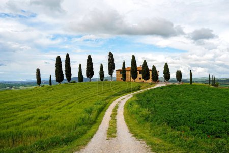 Photo for Tuscany landscape with cypresses and road, Italy - Royalty Free Image