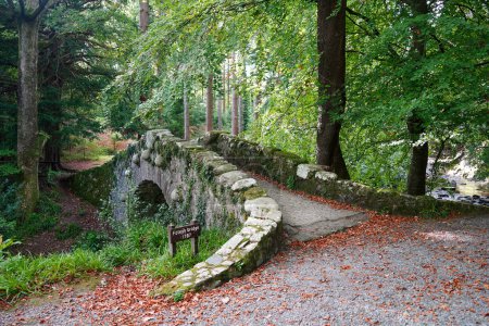 Photo for Foley's Bridge at Tollymore Forest Park, County Down, Northern Ireland - Royalty Free Image