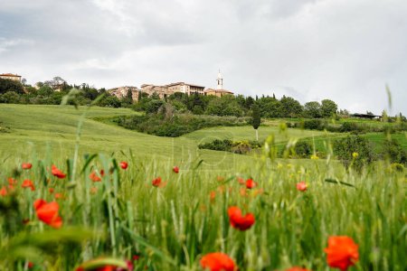 Photo for View of beautiful renaissance town of Pienza in spring Tuscany landscape with green fields and red poppies in the foreground. Pienza, Tuscany, Italy - Royalty Free Image