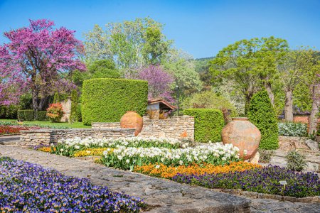 Photo for Garden with landscaping and stone flower beds. - Royalty Free Image