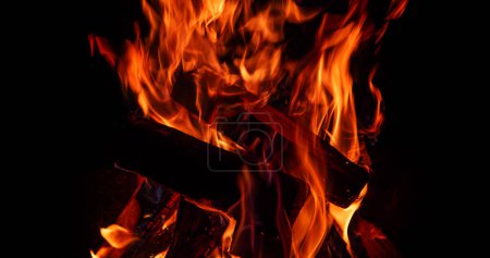 Foto de Campfire flame close up. Burning campfire fire. - Imagen libre de derechos