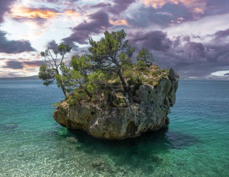 Photo for Rocky seashore on the Adriatic coast. Croatia. - Royalty Free Image