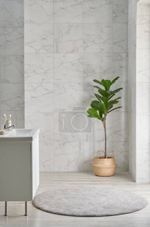 Łazienka w stylu wnętrz z lustrem i białym ceramicznym tłem, materiał czyszczący, ręcznik, wiklinowy wazon roślin, wystrój wnętrz.