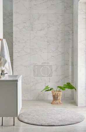 Téléchargez les photos : Salle de bains style intérieur avec miroir armoire et fond en céramique blanche, matériel de nettoyage, serviette, vase en osier de la plante, décoration intérieure. - en image libre de droit