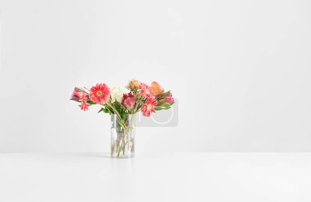 Foto de Vase of plant on the white table and isolated background decorative and fresh. - Imagen libre de derechos