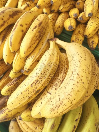 Téléchargez les photos : Les bananes sont dans les maraîchers. - en image libre de droit