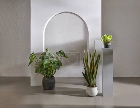 Téléchargez les photos : Fond mural brun et vert style intérieur, vase botanique de décoration végétale et tapis. - en image libre de droit