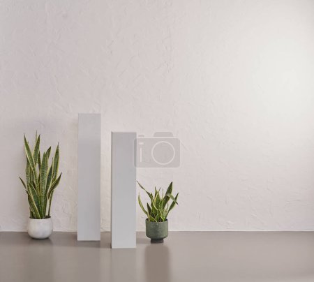 Photo for Grey wall background, vase of plant, home design. - Royalty Free Image