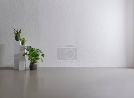 Téléchargez les photos : Plante verte dans le vase, fond de mur en pierre grise, concept de pièce intérieure. - en image libre de droit
