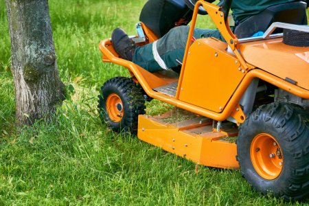Téléchargez les photos : Coupe d'herbe professionnelle sur les pelouses avec une mini tondeuse à gazon tracteur. - en image libre de droit