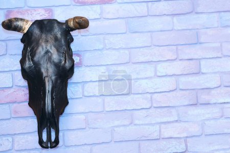 Téléchargez les photos : Tête de taureau farcie noire avec cornes sur un mur de briques rose-bleu - en image libre de droit