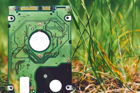 Grüne interne Festplatte zum Speichern von Informationen auf grünem Gras                               