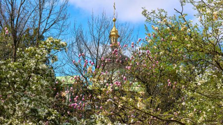 Spring Easter mood. Church with golden domes, blooming magnolia garden                               