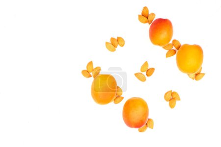  Fresh ripe apricot fruits, kernels isolated on white                              