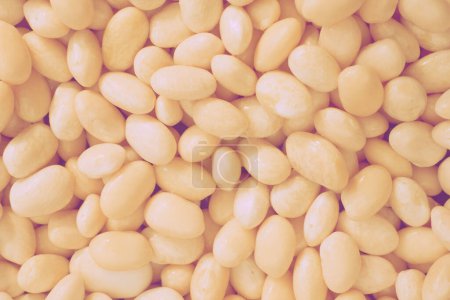 Fresh beans haricot for making stews, vegetable soups                               