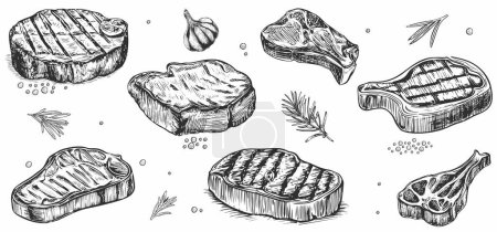 Téléchargez les illustrations : Boeuf, agneau et porc dessinés à la main steak extra ou moyen rare. - en licence libre de droit