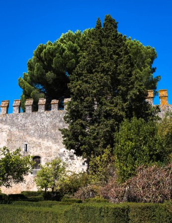 Téléchargez les photos : Un vieux mur historique avec des tourelles dans la ville, un jardin au premier plan et un grand arbre derrière le mur. - en image libre de droit