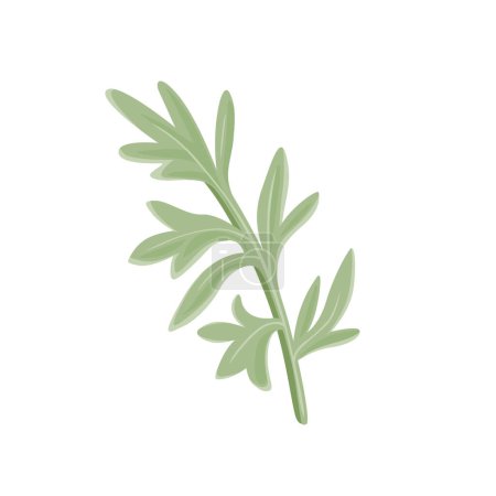 Illustration for Branch of wormwood isolated on a white background. Vector cartoon illustration of medical grass. Sagebrush icon. - Royalty Free Image