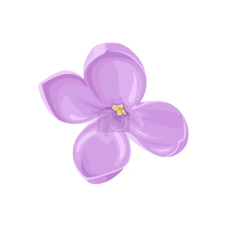 Lilac single flower isolated on white. Vector cartoon illustration of spring flower. Floral icon.