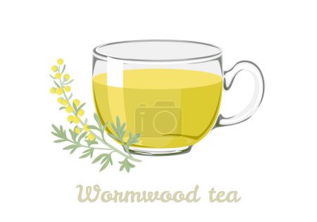 Illustration for Wormwood herbal tea and sagebrush branch isolated on white background. Healing drink in glass cup. Vector illustration in cartoon style. - Royalty Free Image