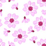 Floral background. Pink flowers isolated on white. Botanical seamless pattern. Vector cartoon illustration
