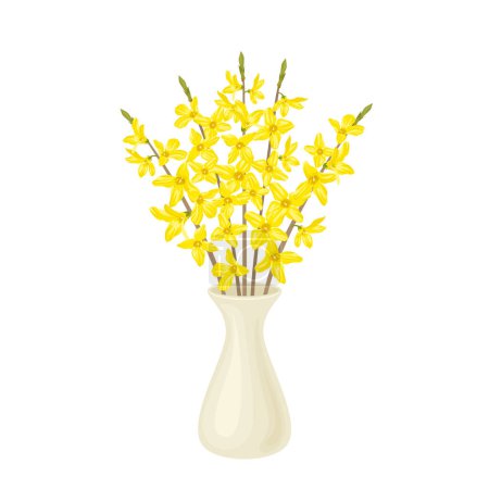 Blooming golden bells. Forsythia  yellow flowers in white ceramic vase. Vector cartoon illustration of spring bouquet.