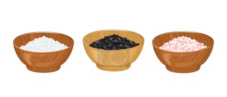 Salt set. Different types of salt. White, pink and black salt in wooden bowl isolated on white background. Vector cartoon food illustration.