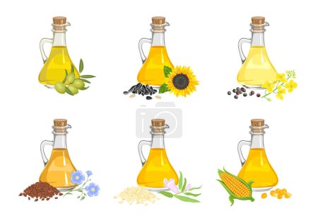 Set verschiedener Speiseöle in Glasflaschen, Samen und Pflanzen. Vektorgrafik von Mais, Leinsamen, Sonnenblumen, Oliven, Sesam und Rapsöl.