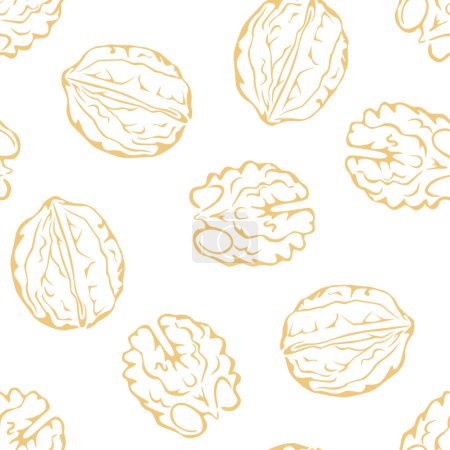 Walnut seamless pattern. Line art vector illustration. Food background.