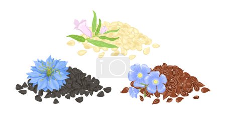 Ilustración de Montón de semillas de lino, comino negro y sésamo. Conjunto de ilustración de dibujos animados vectoriales. - Imagen libre de derechos
