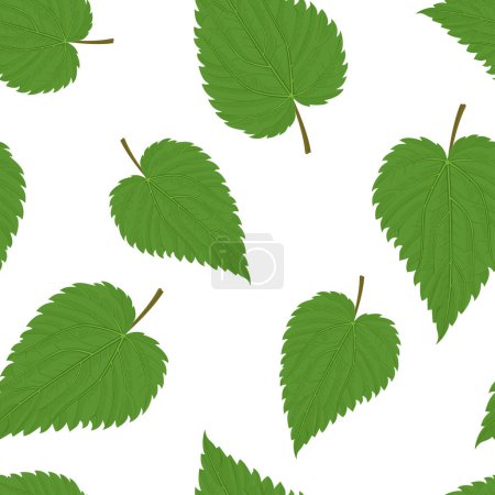 Illustration for Green nettle leaves seamless pattern. Botanical background. Vector cartoon illustration. - Royalty Free Image