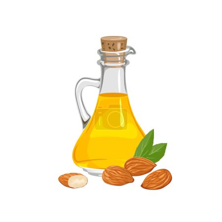 Illustration for Almond oil in glass bottle isolated on white. Vector cartoon food illustration. - Royalty Free Image
