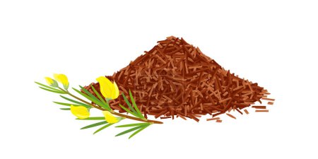 Dry rooibos tea heap and rooibos branch with yellow flowers. Vector cartoon illustration.