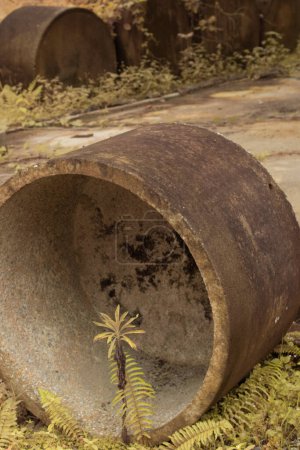 Foto de Imagen infrarroja del drenaje cilíndrico de hormigón en la granja rural - Imagen libre de derechos
