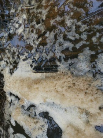 Téléchargez les photos : Ligne de mousse brunâtre blanche surplombant la rivière de drainage agricole. - en image libre de droit