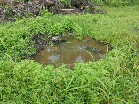 Téléchargez les photos : Terres agricoles vacantes pleines de flaques d'eau après les fortes pluies - en image libre de droit